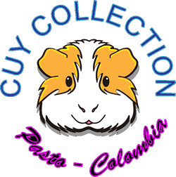 catalogo-cuy-collection-2021-1_001.fw.png