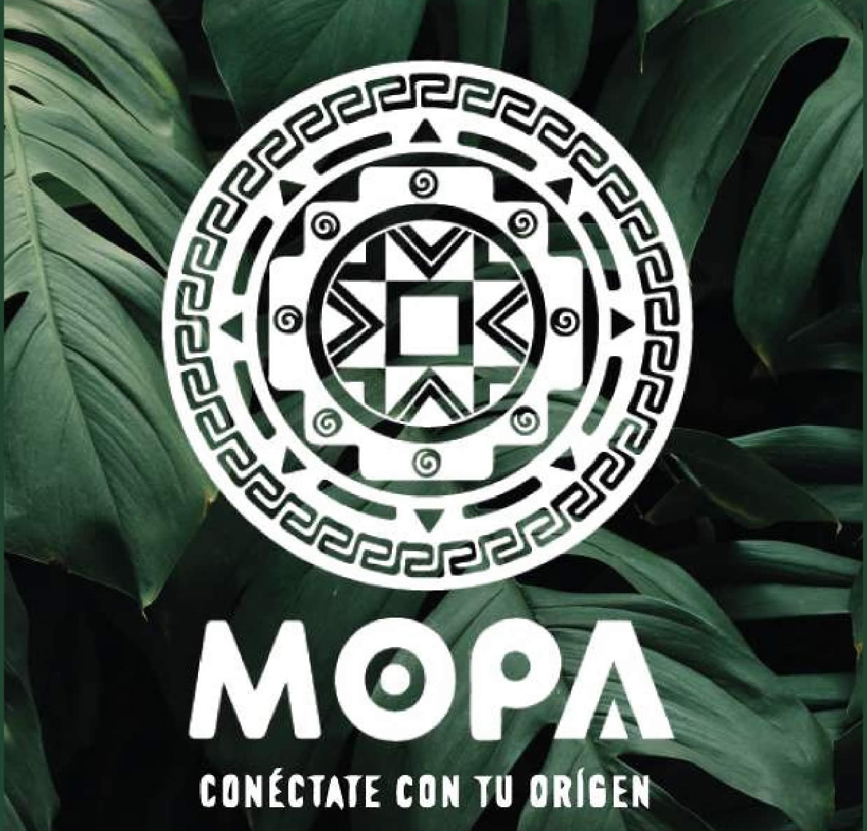 catalogo-mopa_001.jpg